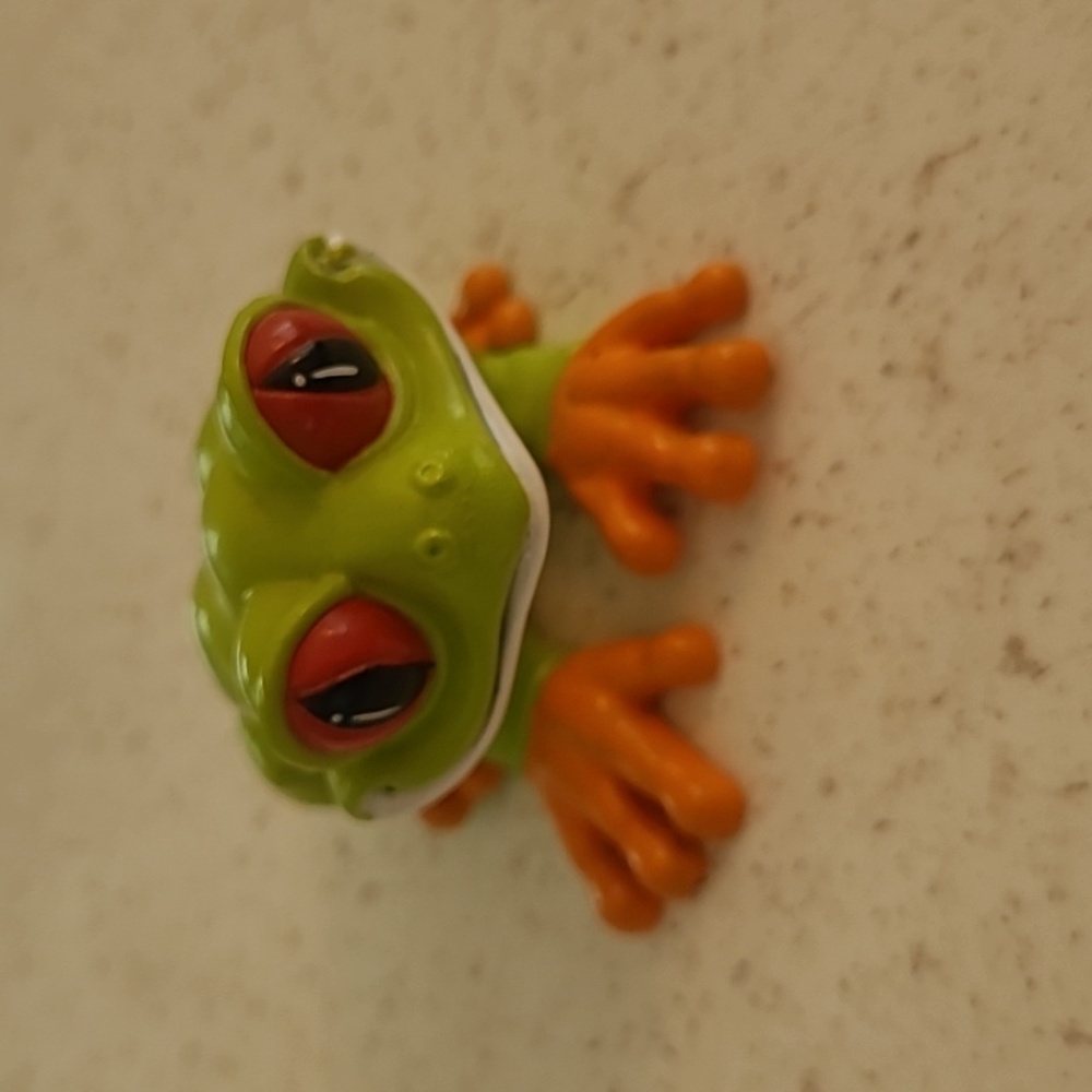 Cha! Cha! The Rainforest Cafe Red-eyed Tree Frog.
